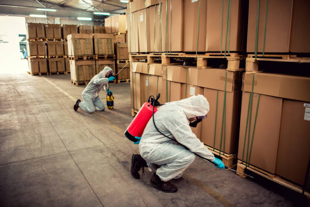 Best Pest Inspection Near Me  in East Camden, AR