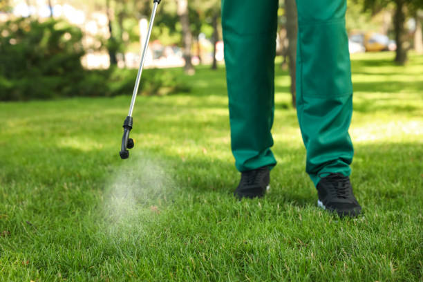 Best Flea Control Services  in East Camden, AR