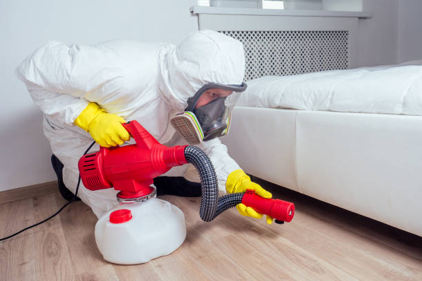 Best Pest Removal Services  in East Camden, AR