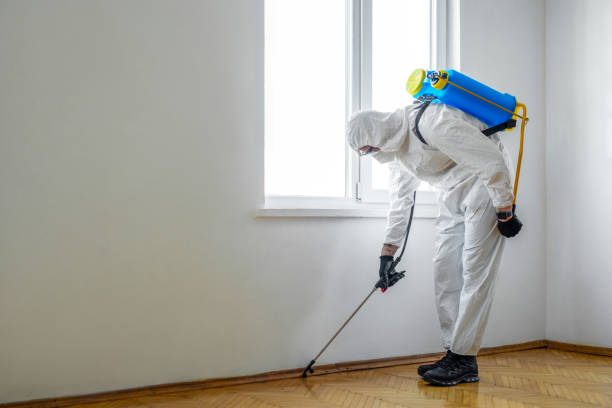 Best Emergency Pest Control  in East Camden, AR