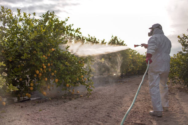 Best Wasp Removal Services  in East Camden, AR