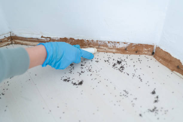 Best Exterminator Services  in East Camden, AR